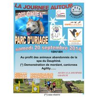 Journée autour du chien