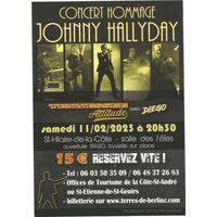 Concert hommage à Johnny Halliday