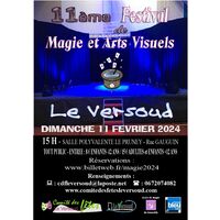 Festival spectacle de magie