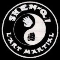 SHEN-QI L'ART MARTIAL